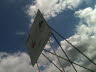 bauschild